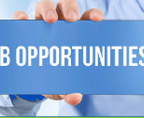 Job Opportunities 2025